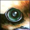 Augenblick eines Kookaburra Acryl auf Leinwand;
30 x 30 cm
